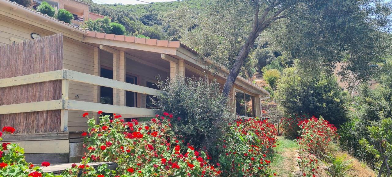 VillanovaLes Terrasses De Scaglioli别墅 外观 照片