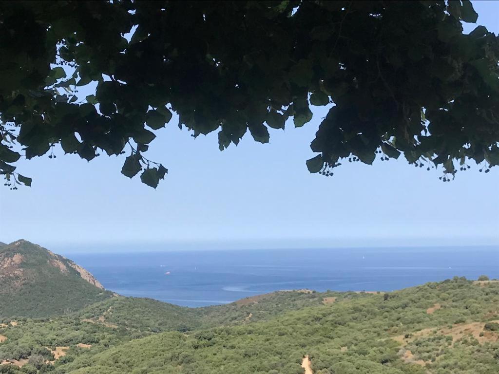 VillanovaLes Terrasses De Scaglioli别墅 外观 照片