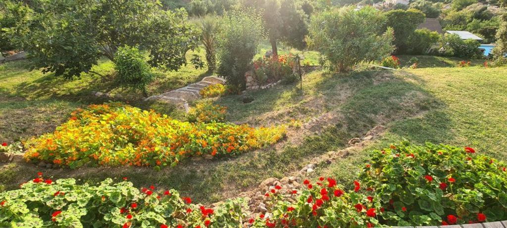 VillanovaLes Terrasses De Scaglioli别墅 外观 照片