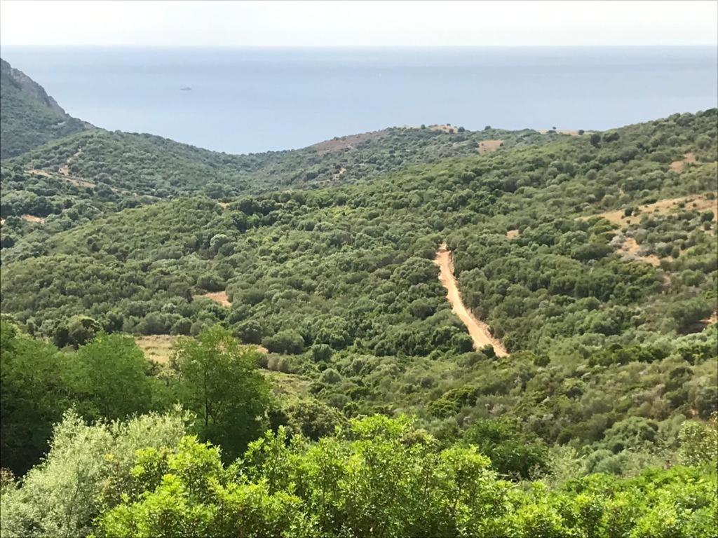 VillanovaLes Terrasses De Scaglioli别墅 外观 照片