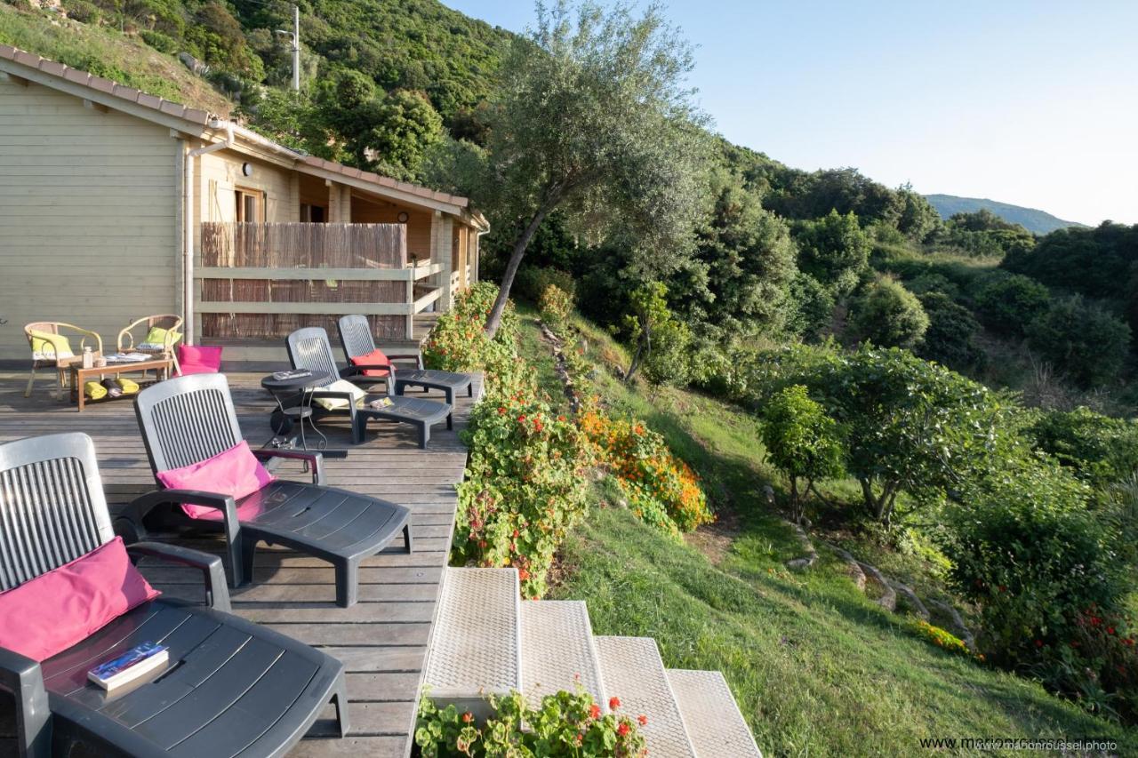 VillanovaLes Terrasses De Scaglioli别墅 外观 照片