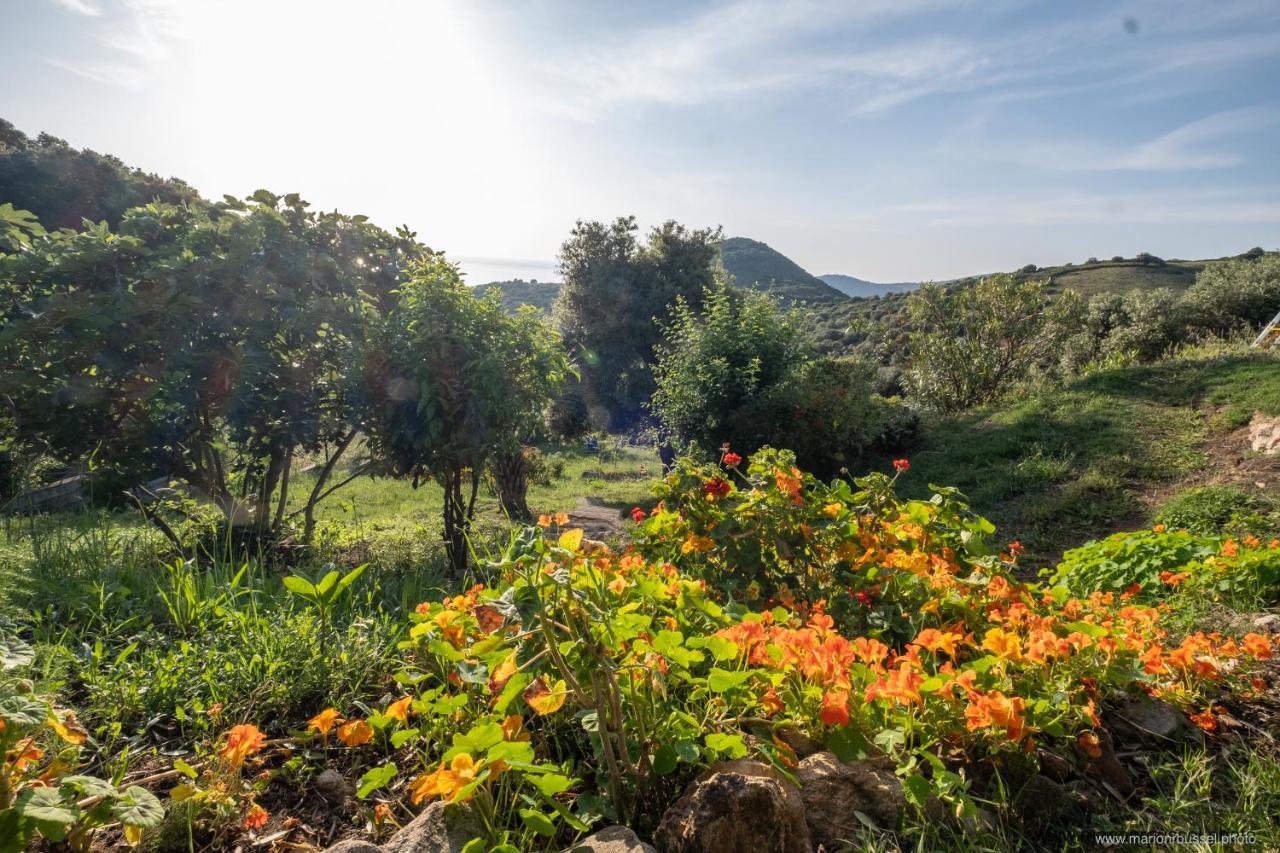VillanovaLes Terrasses De Scaglioli别墅 外观 照片