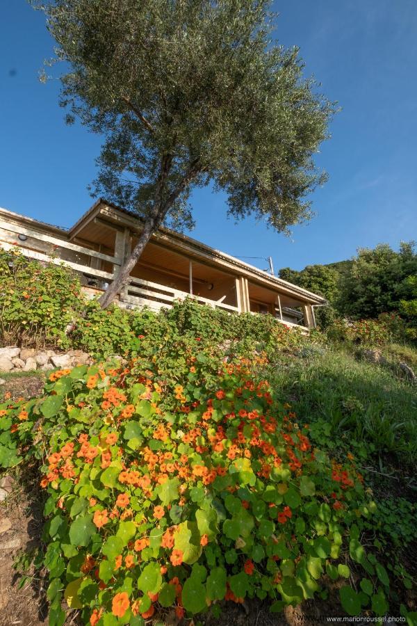 VillanovaLes Terrasses De Scaglioli别墅 外观 照片