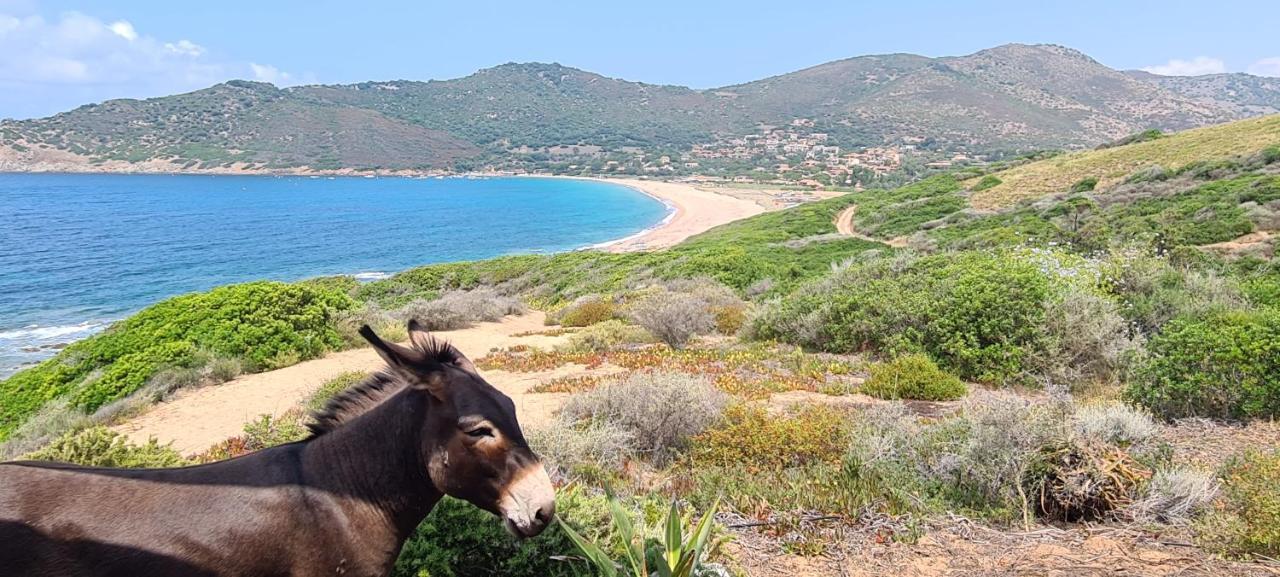 VillanovaLes Terrasses De Scaglioli别墅 外观 照片
